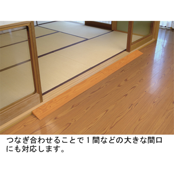 直送品A アロン化成 安寿 段差スロープEVA 幅100×奥行16×高さ4cm スロープ 535-614 #40 同梱不可 代引不可_1