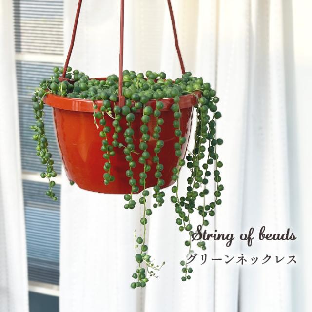 キシマ エクリア 消臭アーティフィシャルグリーン KH-61103 1個 〔リビング 店舗 ショップ お店〕 〔×3セット〕 キシマ エクリア 消臭アーティフィシャルグリーン KH-61103 1個