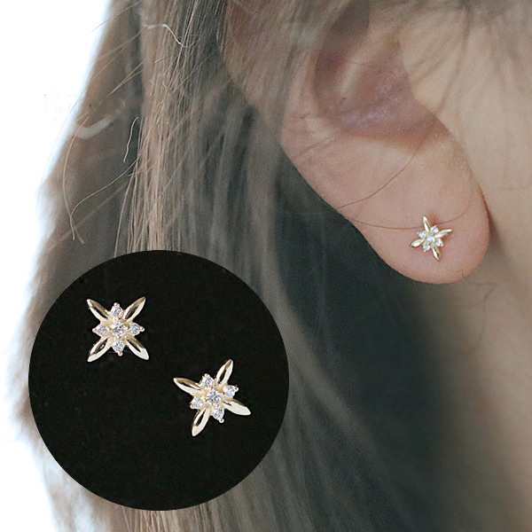 小ぶりシルバー星 ピアス