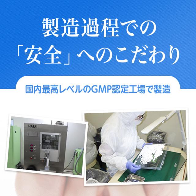 5/7 10:00-5/13 9:59限定【40％OFFセール開催中】 葉酸サプリ 妊活サプリ マカナ makana 【3袋セット】妊活 葉酸 無添加 サプリメント ビタミン ミネラル マカ 葉酸 女性 男性 妊活サプリ【送料無料】【ポスト投函】_13
