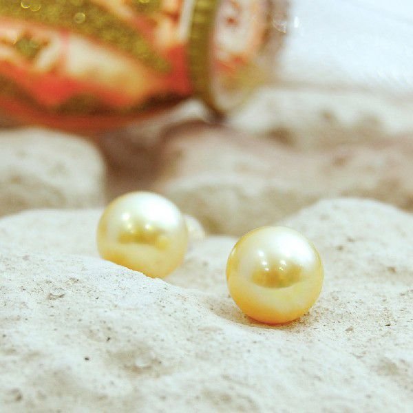 【送料無料】南洋白蝶真珠 K18 18金 シャンパンゴールド ゴールデンパール ナチュラルカラー 染めてない 真珠 パール 10.5mm ミリ 珠 ピアス  日本製 ケース付き 保証書付き 大人 上品 濱ノ雫 はまのしずくの通販は
