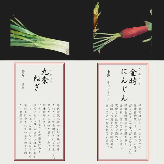 ノリタケ 京香旬彩 15cmスクエアプレート（絵変り5枚）1620-15T/F10194【 皿 小皿 四角 角型 取り皿 角皿 セット Noritake お返し ギフト 内祝 出産内祝 結婚祝 結婚内祝 快気祝 御祝 引き出物 引越祝 新築祝 陶器 磁器 陶磁器 ブライダル 】