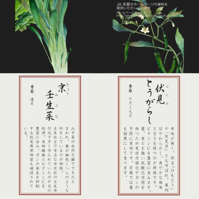 ノリタケ 京香旬彩 15cmスクエアプレート（絵変り5枚）1620-15T/F10194【 皿 小皿 四角 角型 取り皿 角皿 セット Noritake お返し ギフト 内祝 出産内祝 結婚祝 結婚内祝 快気祝 御祝 引き出物 引越祝 新築祝 陶器 磁器 陶磁器 ブライダル 】