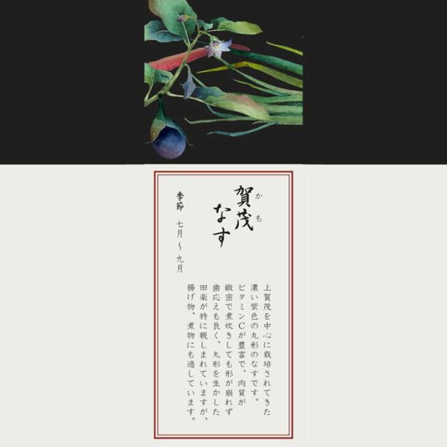 ノリタケ 京香旬彩 15cmスクエアプレート（絵変り5枚）1620-15T/F10194【 皿 小皿 四角 角型 取り皿 角皿 セット Noritake お返し ギフト 内祝 出産内祝 結婚祝 結婚内祝 快気祝 御祝 引き出物 引越祝 新築祝 陶器 磁器 陶磁器 ブライダル 】