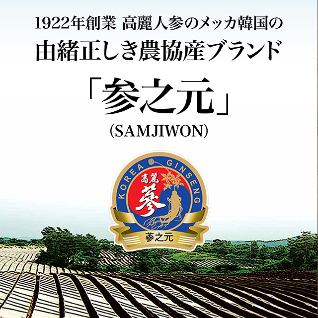 【楽天ランキング3冠受賞！】【お得！3袋セット】高麗人参サプリ ６年根・高麗紅参精タブレットGOLD（120粒） 百済錦山人参農協／紅参 朝鮮人参 高麗人参エキス 紅人参 コウジン 御種人参_9