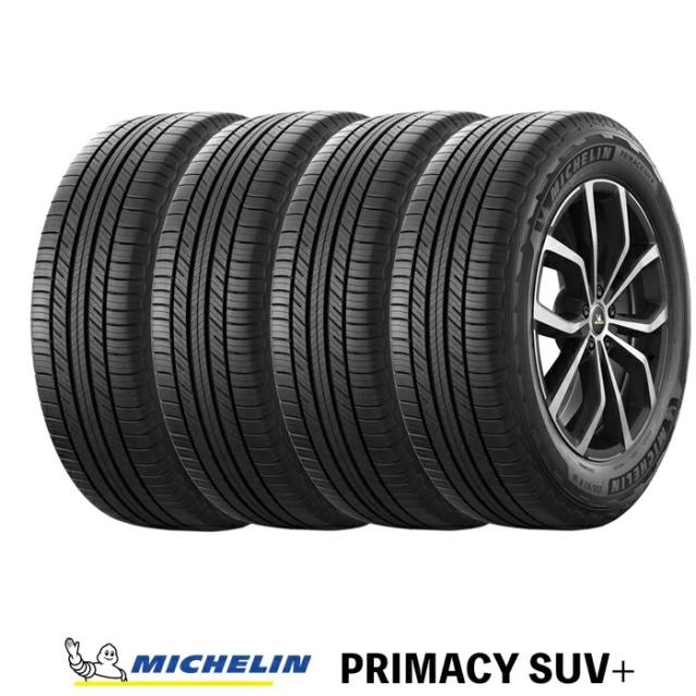 ダンロップ エナセーブ rv505 225/55r17 買っ 23年製 2本のみ