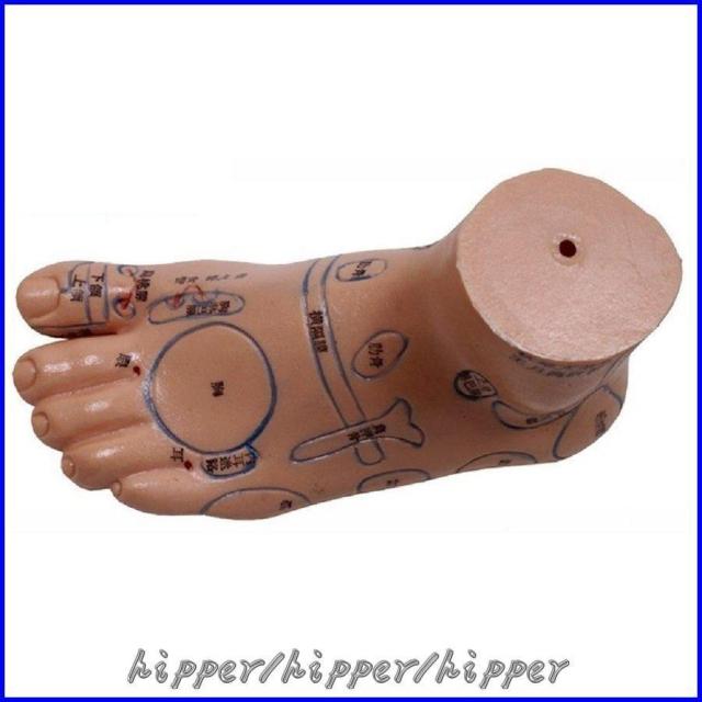 0A:足つぼ（DVDで学ぶ）足部反射療法在宅練習用基礎編30′+テキストset 0A:足つぼ（DVDで学ぶ）足部反射療法在宅練習用基礎編30