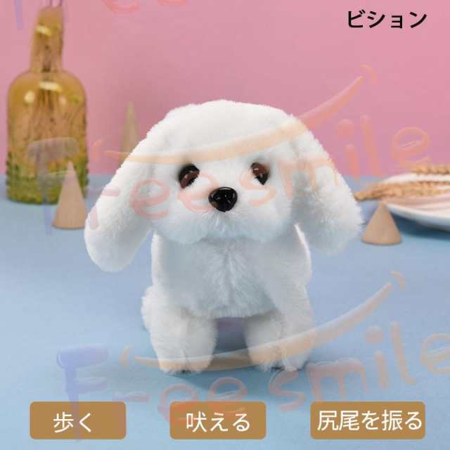 元気な仔犬 トイプードルのショコラちゃん おしゃべり 歩く 動く