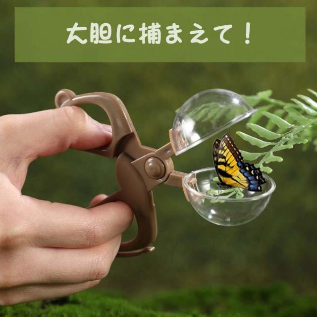 虫かご 昆虫観察ボックス 子供用 昆虫採集キット 5点セット 自由研究