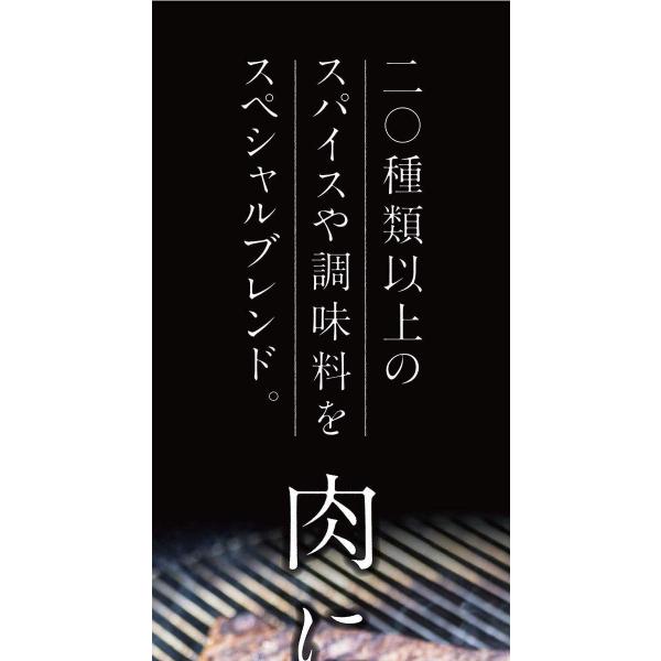 送料無料！【１０本セット】アウトドアスパイス 「ほりにし」 【アウトドア/キャンプ/BBQ/調味料/料理】 . .の通販は