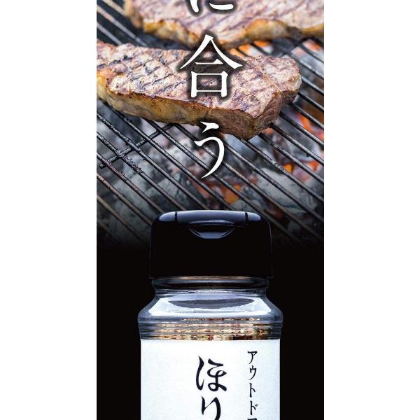 送料無料！【１０本セット】アウトドアスパイス 「ほりにし」 【アウトドア/キャンプ/BBQ/調味料/料理】 . .の通販は