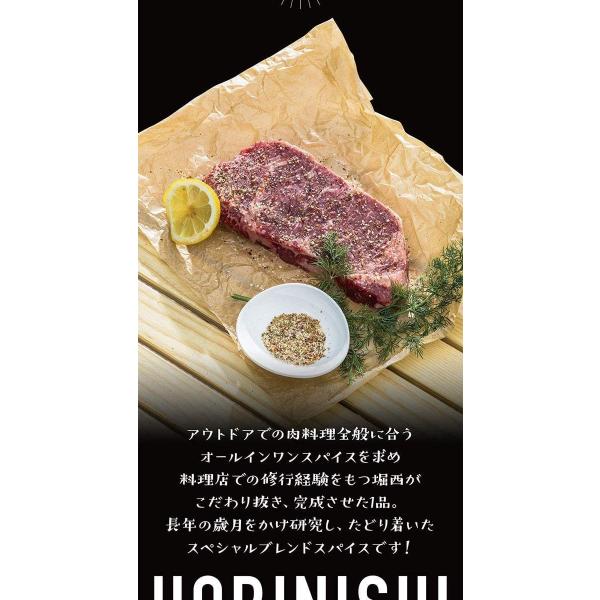 送料無料！【１０本セット】アウトドアスパイス 「ほりにし」 【アウトドア/キャンプ/BBQ/調味料/料理】 . .の通販は