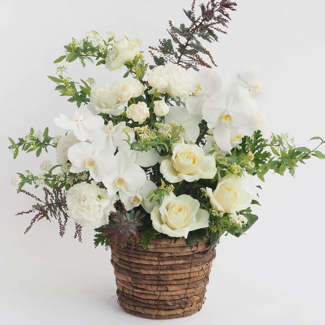 【フラワーアレンジメント】XXXLサイズ｜白・グリーン （誕生日プレゼント 開店祝い（開業祝い） 引っ越し祝い 内祝い 結婚記念日 贈り物 ギフト 生花）の通販は 17,600円