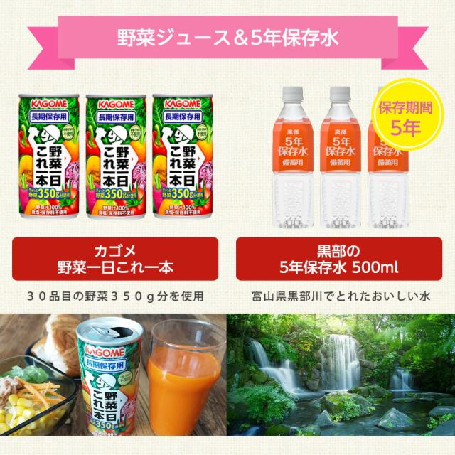防災セット 女性用 一人用_11