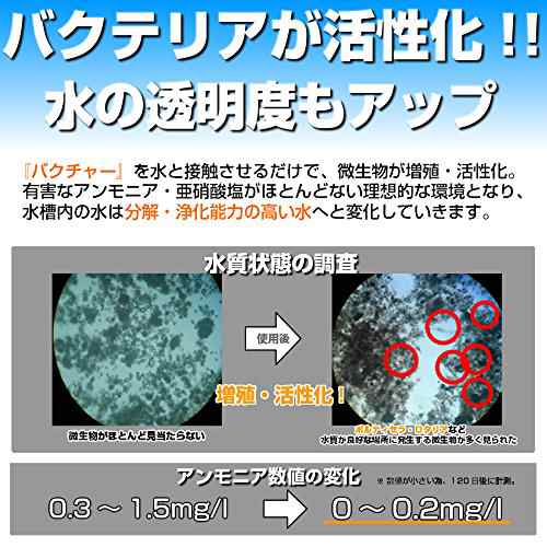 Amazon.co.jp: 「水質浄化活性剤バクチャーパウダー」庭池用