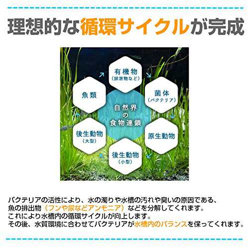 水質浄化活性剤【バクチャーパウダー60g】庭池用の通販はau PAY
