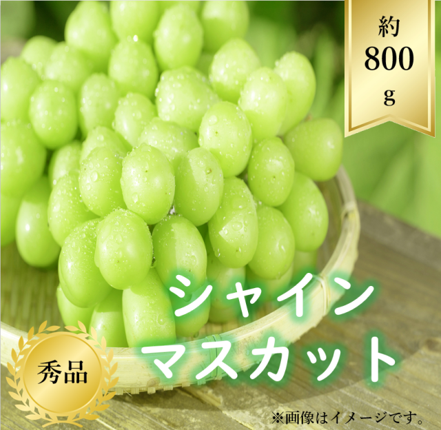 【送料無料】シャインマスカット約800ｇ 秀品 R7年度先行予約商品