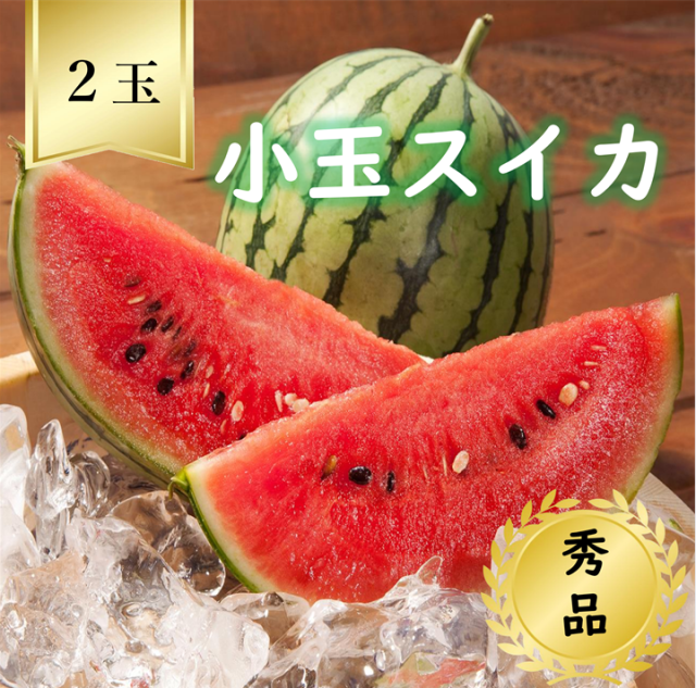 【送料無料】小玉すいか ２玉 秀品 R7年度先行予約商品