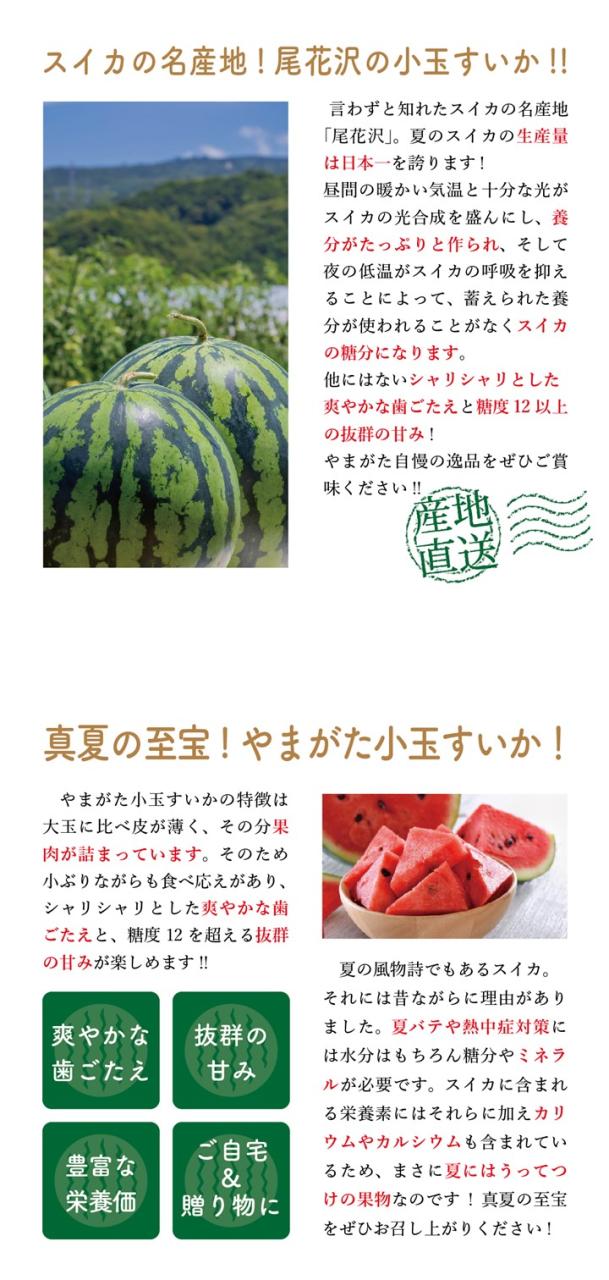 【送料無料】小玉すいか ２玉 秀品 R7年度先行予約商品