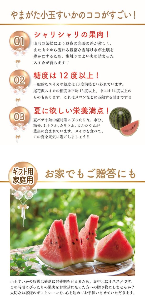 【送料無料】小玉すいか ２玉 秀品 R7年度先行予約商品