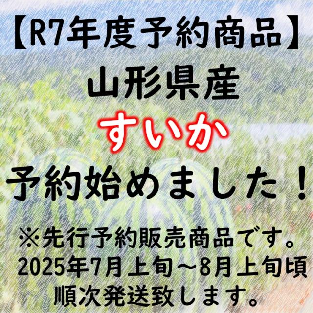 【送料無料】小玉すいか ２玉 秀品 R7年度先行予約商品