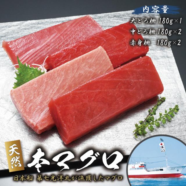 第七光洋丸 天然本鮪 大とろ、中とろ、赤身産地直送