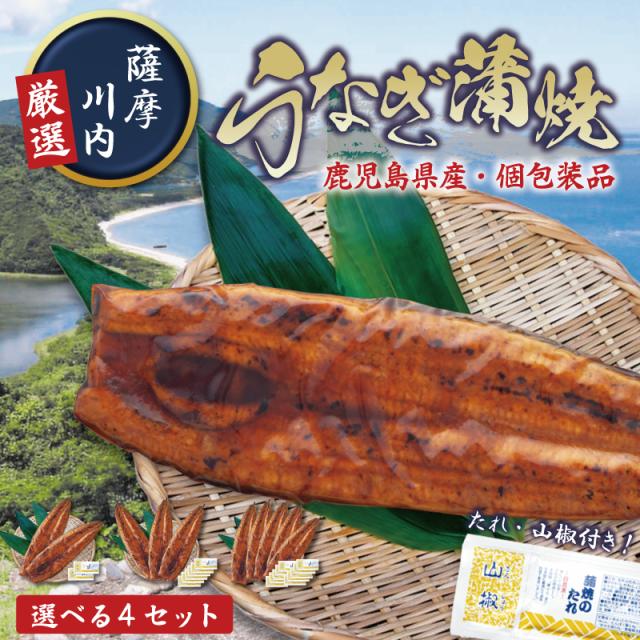 特大鹿児島産鰻 3尾産地直送