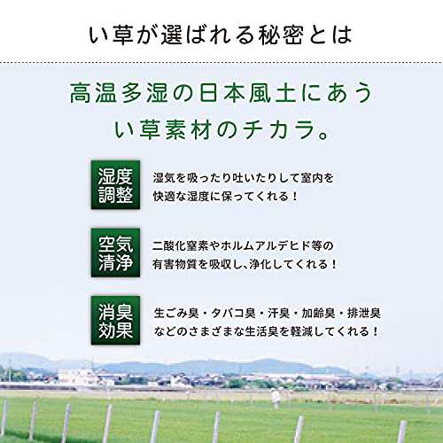 萩原 い草 上敷き 団地間6畳 「天草」 双目織 抗カビ 傷防止 日焼け防止 国