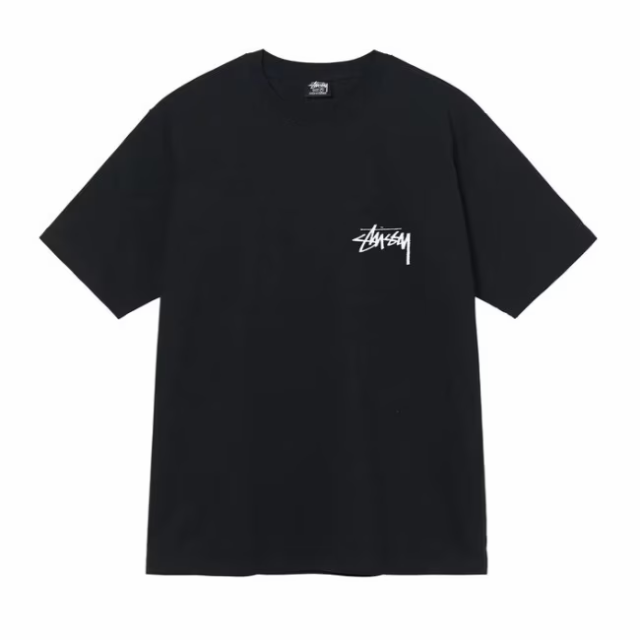 STUSSY SPHINX TEE ステューシー　半袖