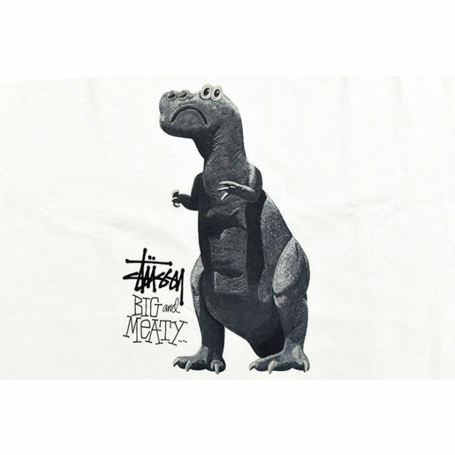 STUSSY パーカー 恐竜 ティラノサウルス hoodie Mサイズ