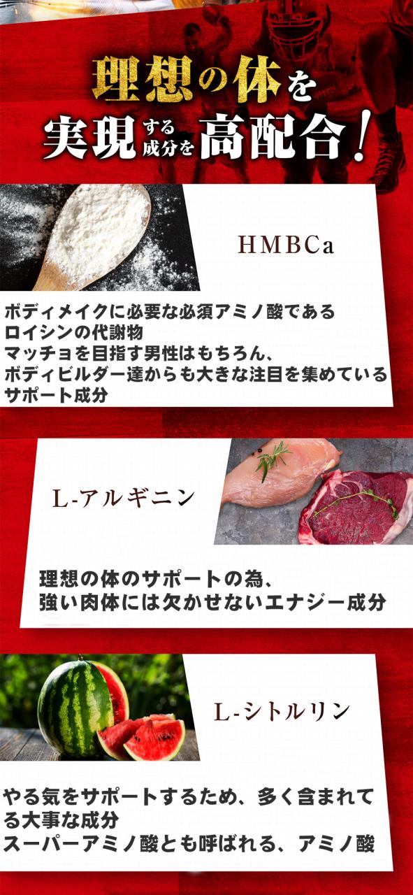 ストロングHMB【お得9袋＋3袋オマケ】クレアチン カルニチン アルギニン シトルリン 太く 強く 気力 活力 男性 BCAA 亜鉛 筋力 プロテイン 人気ランキング サプリメント 国産 ダイエット シトルリン 亜鉛 マカ HMB スッポン マムシ BCAA 馬睾丸_5