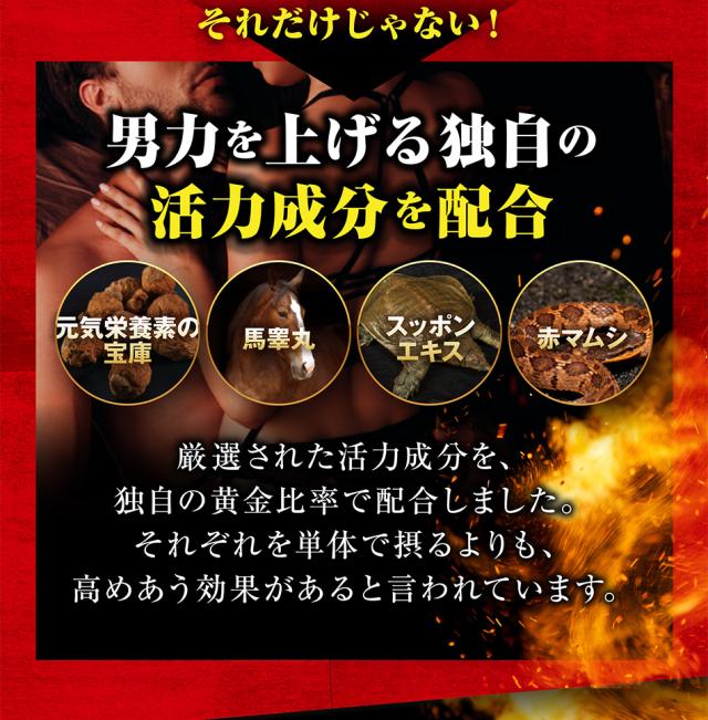 ストロングHMB【お得9袋＋3袋オマケ】クレアチン カルニチン アルギニン シトルリン 太く 強く 気力 活力 男性 BCAA 亜鉛 筋力 プロテイン 人気ランキング サプリメント 国産 ダイエット シトルリン 亜鉛 マカ HMB スッポン マムシ BCAA 馬睾丸_6