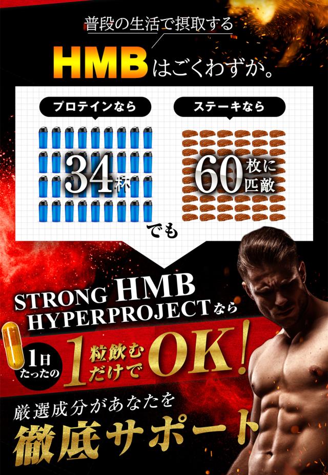 ストロングHMB【お得9袋＋3袋オマケ】クレアチン カルニチン アルギニン シトルリン 太く 強く 気力 活力 男性 BCAA 亜鉛 筋力 プロテイン 人気ランキング サプリメント 国産 ダイエット シトルリン 亜鉛 マカ HMB スッポン マムシ BCAA 馬睾丸_7