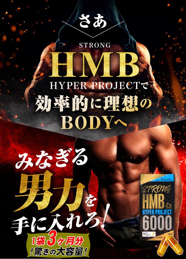 ストロングHMB【お得9袋＋3袋オマケ】クレアチン カルニチン アルギニン シトルリン 太く 強く 気力 活力 男性 BCAA 亜鉛 筋力 プロテイン 人気ランキング サプリメント 国産 ダイエット シトルリン 亜鉛 マカ HMB スッポン マムシ BCAA 馬睾丸_9
