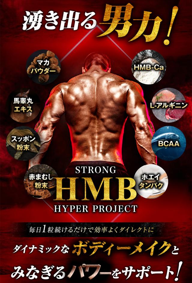ストロングHMB【お得6袋＋1袋オマケ】クレアチン カルニチン アルギニン シトルリン 太く 強く 気力 活力 男性 BCAA 亜鉛 筋力 プロテイン 人気ランキング サプリメント 国産 ダイエット シトルリン 亜鉛 マカ HMB スッポン マムシ BCAA 馬睾丸_8
