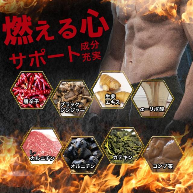 メタカボブースター【お得15個袋+5袋オマケ】燃焼 ダイエット サプリメント コンブ茶 カテキン L-カルニチン オルニチン 唐辛子 生姜 燃やす ブラックジンジャー αリポ酸 お得 大容量 国産 メタボ 日本製サプリ ダイエットサプリ 燃える 燃焼系 おすすめ 人気 ランキング_2