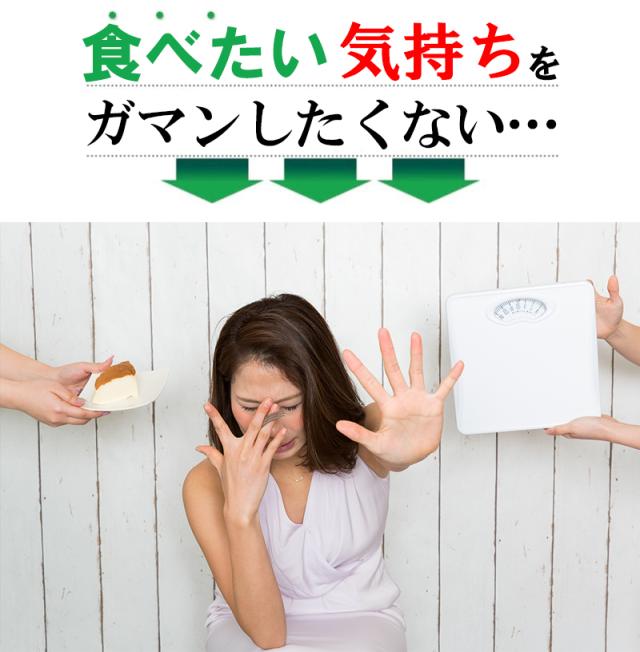 メタカボEX 【15袋＋5袋オマケ】ダイエット サプリメント カロリーカット 白いんげん豆 サラシア 乳酸菌 キトサン ギムネマ 生酵素 カロリーコントロール 断糖 食欲 炭水化物 脂質 糖質 脂肪 燃焼 ケトジェニック 体脂肪 糖質カット 糖質制限 炭水化物カット_2