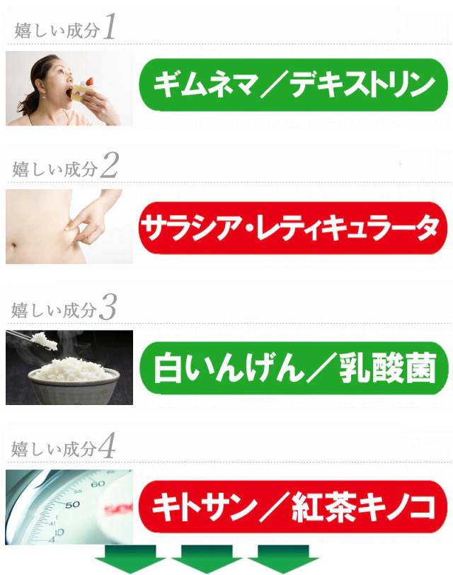 メタカボEX 【15袋＋5袋オマケ】ダイエット サプリメント カロリーカット 白いんげん豆 サラシア 乳酸菌 キトサン ギムネマ 生酵素 カロリーコントロール 断糖 食欲 炭水化物 脂質 糖質 脂肪 燃焼 ケトジェニック 体脂肪 糖質カット 糖質制限 炭水化物カット_4