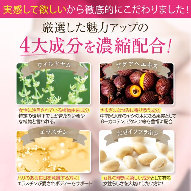 プラスアップマジック【最安！15個袋+5袋オマケ】バスト 女子力 魅力 アップ サプリメント サイズアップ エラスチン ボリューム アップ 270日分 ワイルドヤム ザクロ イソフラボン コラーゲン サプリ ブラ 日本製 バストケア バストアップ ボリュームアップ バストサイズ_2