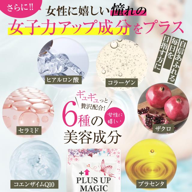 プラスアップマジック【最安！15個袋+5袋オマケ】バスト 女子力 魅力 アップ サプリメント サイズアップ エラスチン ボリューム アップ 270日分 ワイルドヤム ザクロ イソフラボン コラーゲン サプリ ブラ 日本製 バストケア バストアップ ボリュームアップ バストサイズ_3