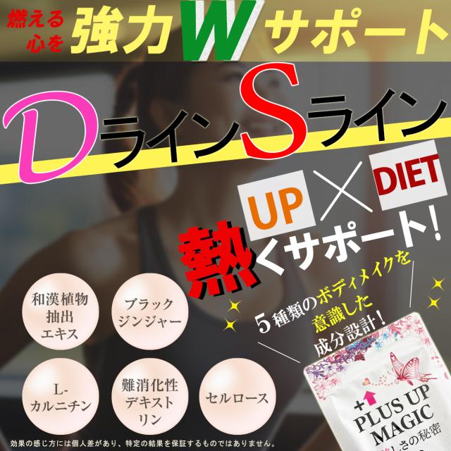 プラスアップマジック【最安！15個袋+5袋オマケ】バスト 女子力 魅力 アップ サプリメント サイズアップ エラスチン ボリューム アップ 270日分 ワイルドヤム ザクロ イソフラボン コラーゲン サプリ ブラ 日本製 バストケア バストアップ ボリュームアップ バストサイズ_4