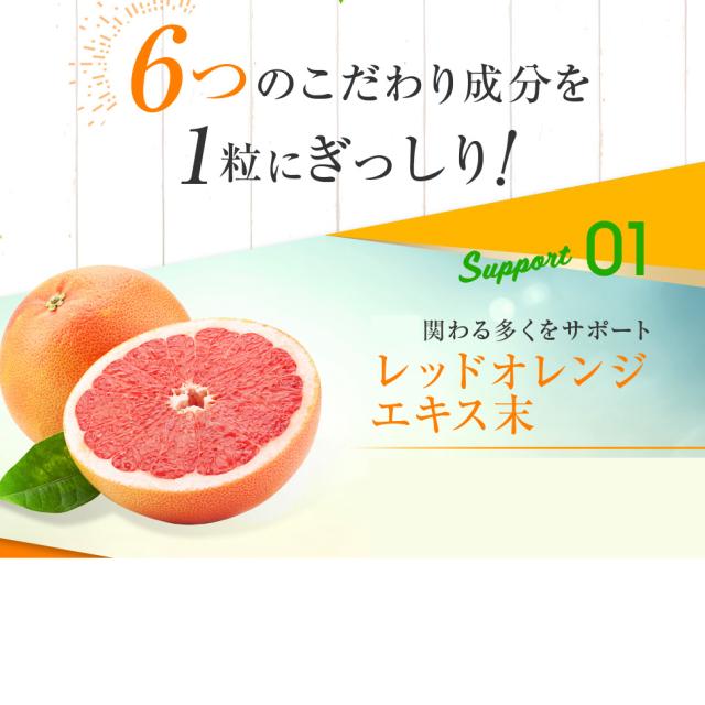 ひがサプリ・約1ヵ月分】太陽に負けない 出かけ対策 ニュート
