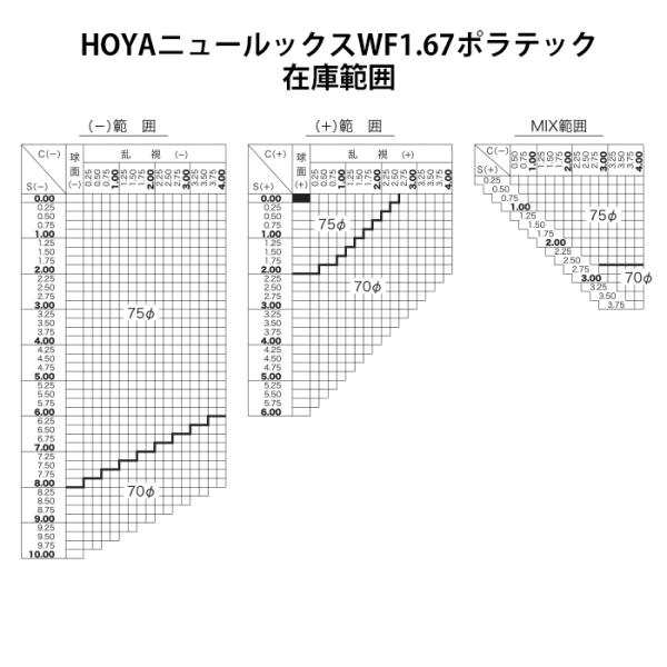 フレーム持ち込み交換用 HOYA 偏光レンズ (２枚一組) ポラテック POLATECH 1.60両面非球面 通販