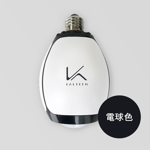 カルテック 脱臭LED電球 KL-B01 1台