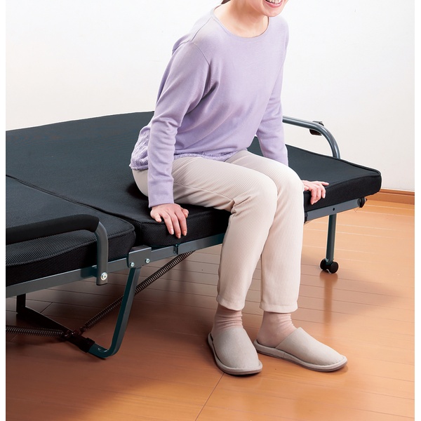 電動ベッド(シングル) ファミリー・ライフ WALTZ（ワルツ） 低反発メッシュ仕様電動