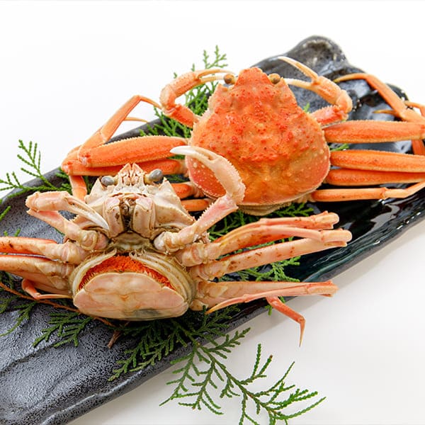 【訳あり】 アイブリッジ 兵庫県香住産 セコガニ 2kg 1kg（約7〜8尾入）×2箱