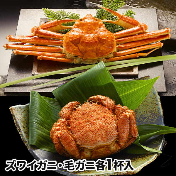 食品開発 ボイルズワイガニ姿とボイル毛ガニセット 1セット：ボイルスワイガニ×1、ボイル毛ガニ×1の通販は