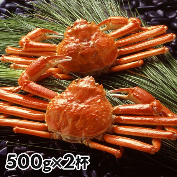 食品開発 ボイルずわいがに姿 2杯 1セット：500g×2杯