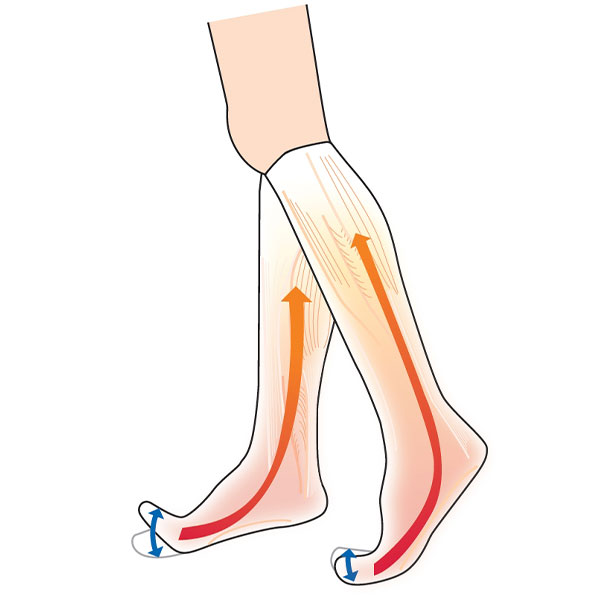 蘭華 履くだけ溜めないポンプアップ靴下 2足組 1セット（2足組）の通販
