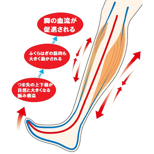 蘭華 履くだけ溜めないポンプアップ靴下 2足組 1セット（2足組）_4